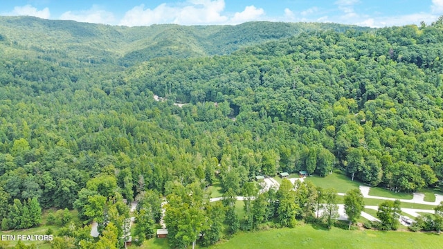 birds eye view of property featuring a mountain view