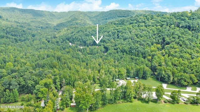 birds eye view of property with a mountain view