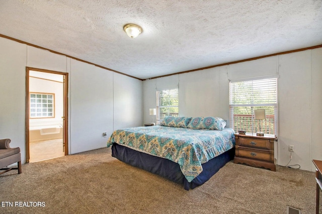 carpeted bedroom featuring a textured ceiling, connected bathroom, multiple windows, and crown molding