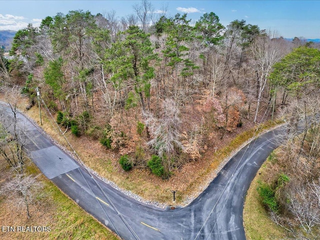 370 Chelaque Way, Mooresburg TN, 37811 land for sale