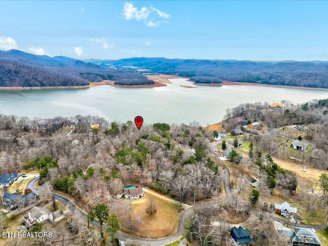 370 Chelaque Way, Mooresburg, TN 37811 - photo 4