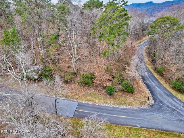 370 Chelaque Way, Mooresburg, TN 37811 - photo 5