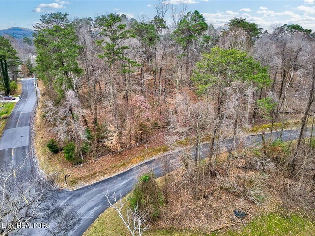 370 Chelaque Way, Mooresburg, TN 37811 - photo 6