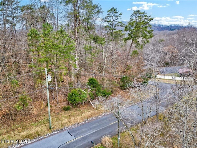 370 Chelaque Way, Mooresburg, TN 37811 - photo 7