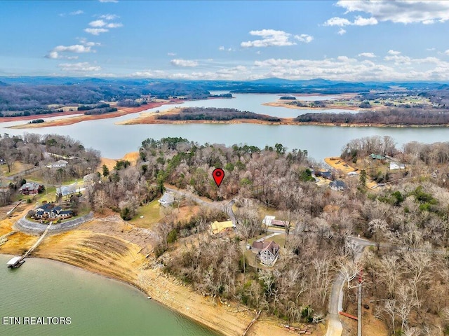 370 Chelaque Way, Mooresburg, TN 37811 - photo 9