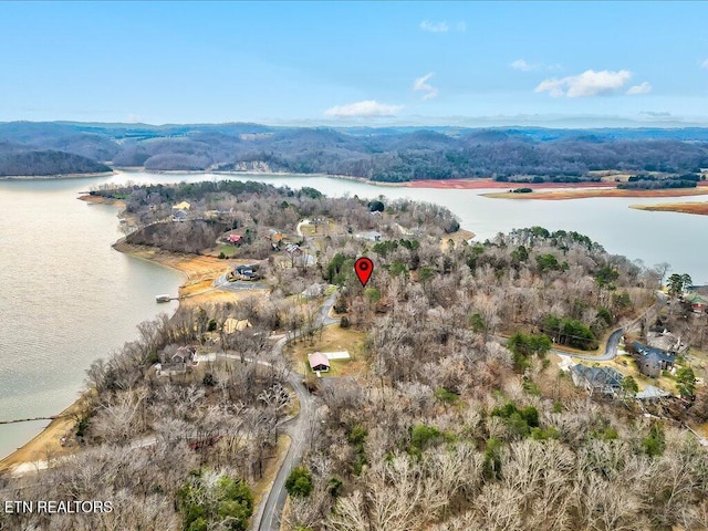 370 Chelaque Way, Mooresburg, TN 37811 - photo 10