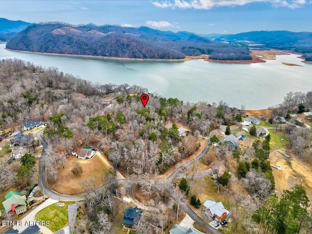 370 Chelaque Way, Mooresburg, TN 37811 - photo 12