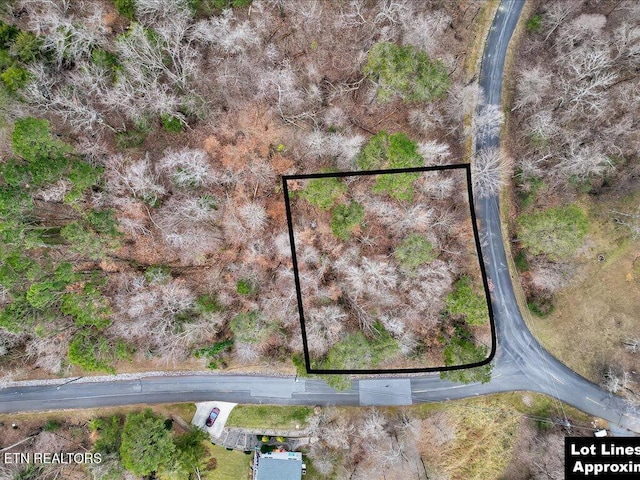 370 Chelaque Way, Mooresburg, TN 37811 - photo 16