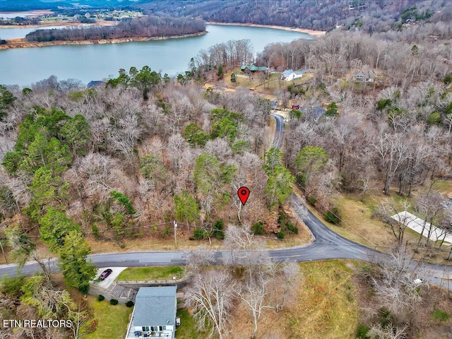 370 Chelaque Way, Mooresburg, TN 37811 - photo 17