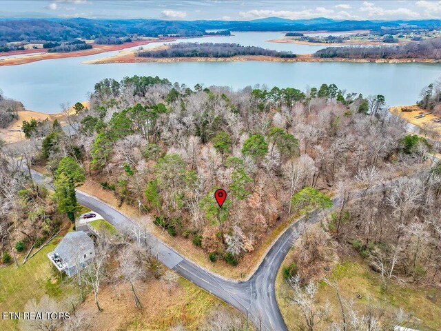 370 Chelaque Way, Mooresburg, TN 37811 - photo 18