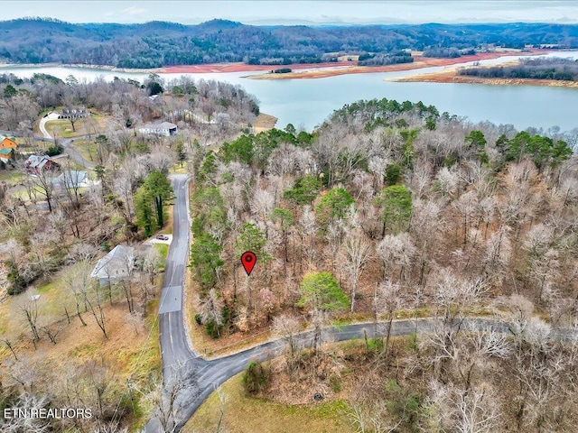 370 Chelaque Way, Mooresburg, TN 37811 - photo 19