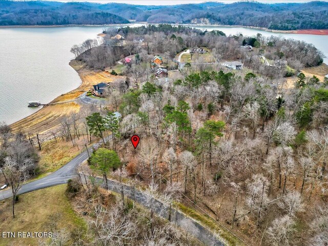 370 Chelaque Way, Mooresburg, TN 37811 - photo 20