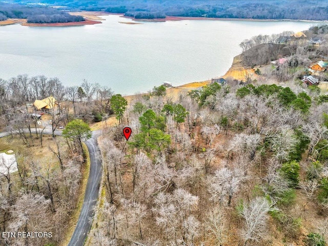370 Chelaque Way, Mooresburg, TN 37811 - photo 21