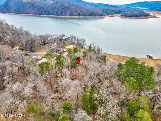 370 Chelaque Way, Mooresburg, TN 37811 - photo 22