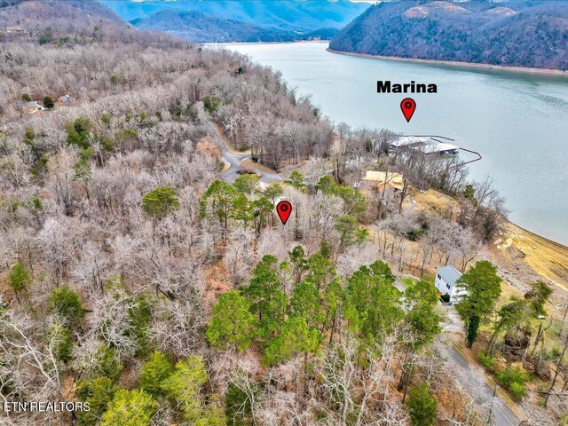 370 Chelaque Way, Mooresburg, TN 37811 - photo 23