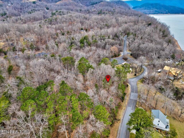 370 Chelaque Way, Mooresburg, TN 37811 - photo 24