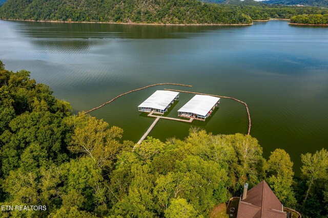370 Chelaque Way, Mooresburg, TN 37811 - photo 28