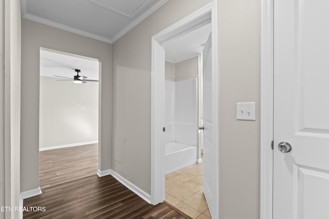 hallway featuring dark wood-type flooring and crown molding