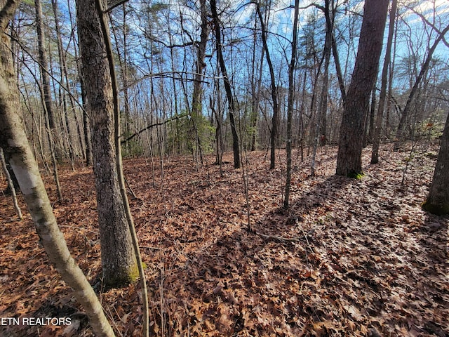 30 Laurel Loop, Monterey TN, 38574 land for sale