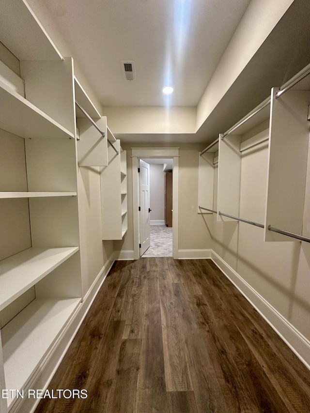 walk in closet with dark wood-type flooring