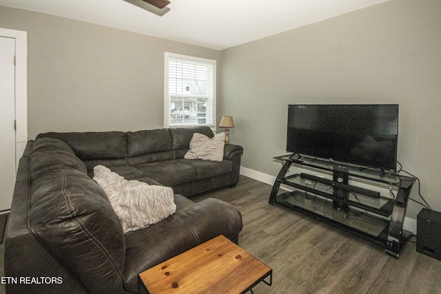 living room with dark wood-type flooring