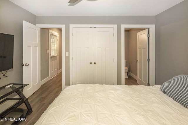 bedroom featuring ceiling fan, dark hardwood / wood-style floors, connected bathroom, and a closet