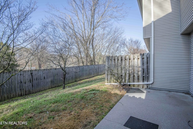 view of yard with a patio