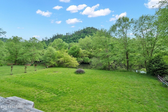 view of yard featuring a water view