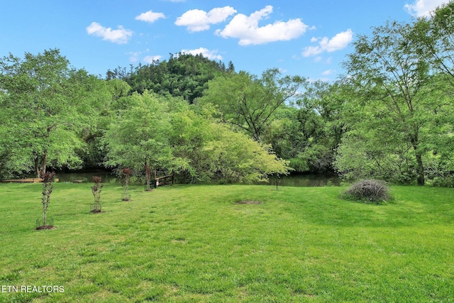 view of yard featuring a water view