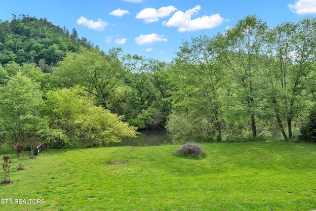 view of yard featuring a water view