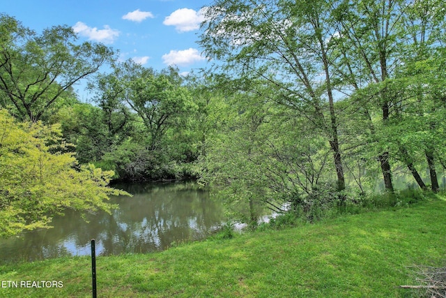 view of water feature