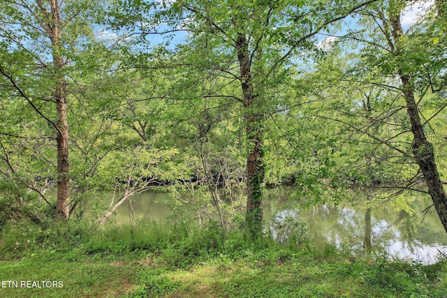 water view