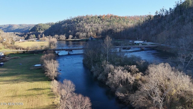 property view of water featuring a mountain view