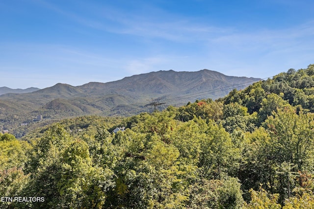 property view of mountains