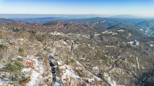 birds eye view of property with a mountain view