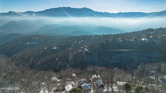 view of mountain feature