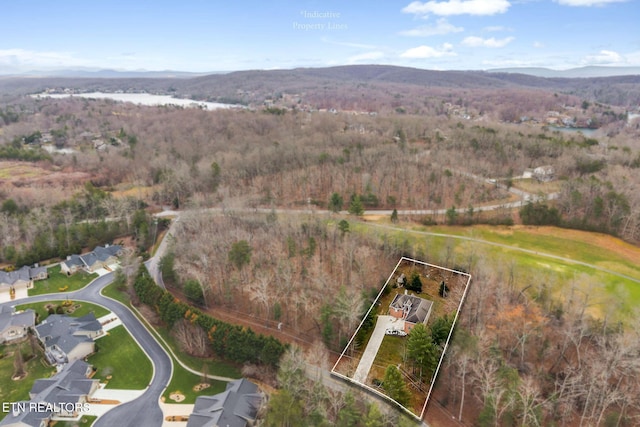 birds eye view of property featuring a mountain view