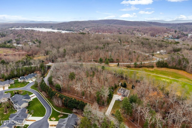 aerial view with a mountain view