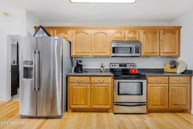 kitchen with light hardwood / wood-style floors and appliances with stainless steel finishes