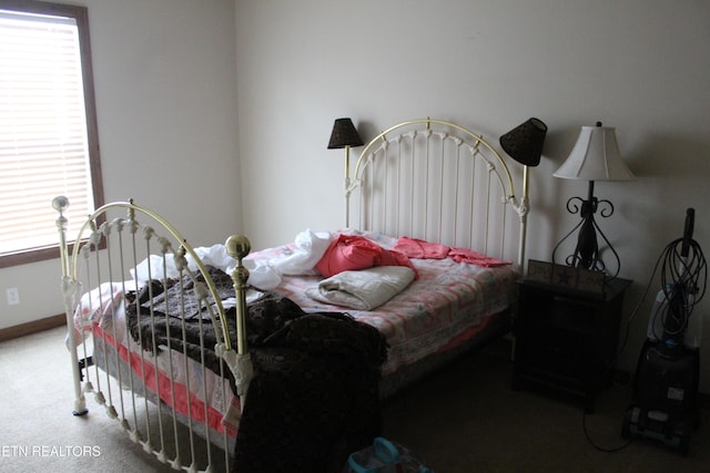 bedroom with carpet floors