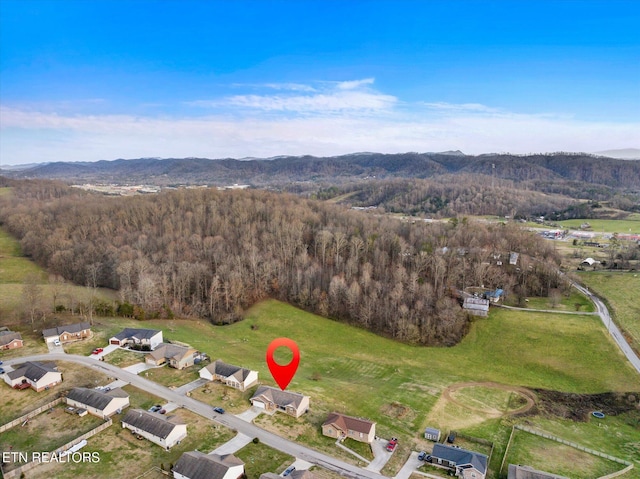 birds eye view of property featuring a mountain view