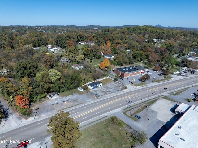 4313 Asheville Hwy, Knoxville, TN 37914 - photo 15