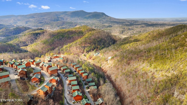 birds eye view of property featuring a mountain view