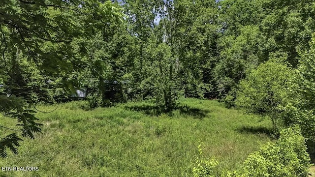 772 Goose Crk, Seymour, TN 37865 - photo 8