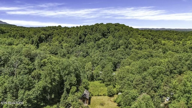 772 Goose Crk, Seymour, TN 37865 - photo 12