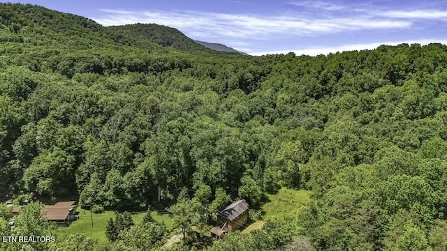 772 Goose Crk, Seymour, TN 37865 - photo 13