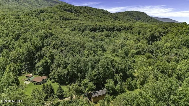 property view of mountains