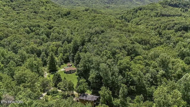 772 Goose Crk, Seymour, TN 37865 - photo 15