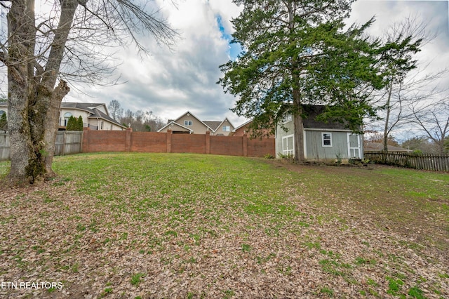 view of yard featuring a shed