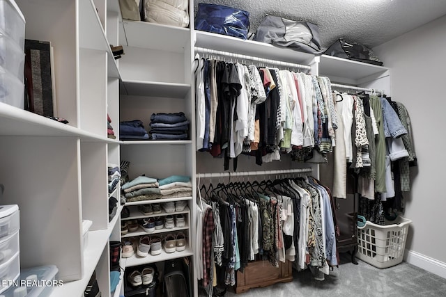 walk in closet featuring carpet